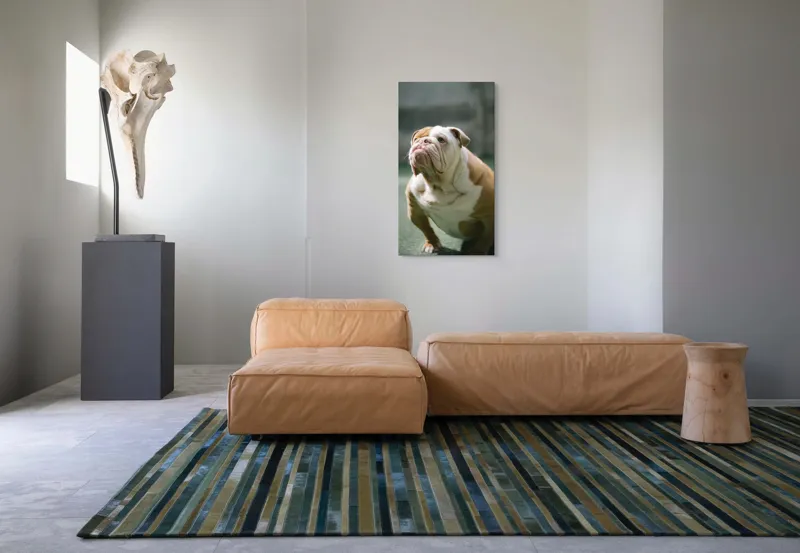 Tablou Canvas, 50 x 90 cm – poza 5