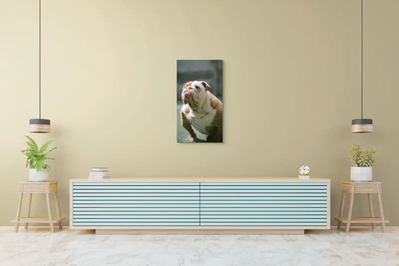 Tablou Canvas, 50 x 90 cm – poza 6