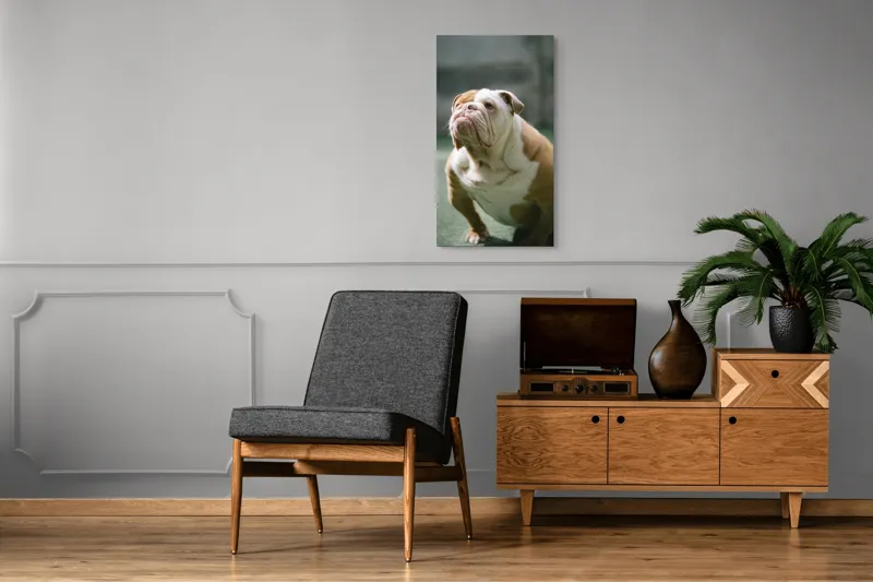 Tablou Canvas, 50 x 90 cm – poza 8