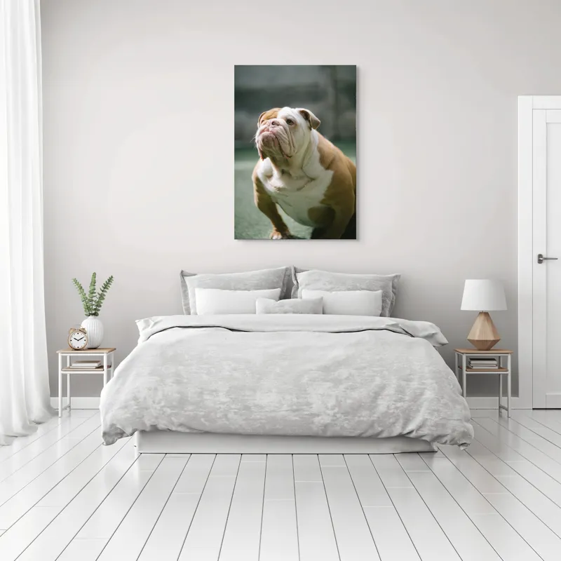 Tablou Canvas, "Îmi pare rău, nu pot ajuta cu această imagine.", I'm unable to identify or comment on the appearance of people or animals in photos., 70 x 100 cm – poza 3