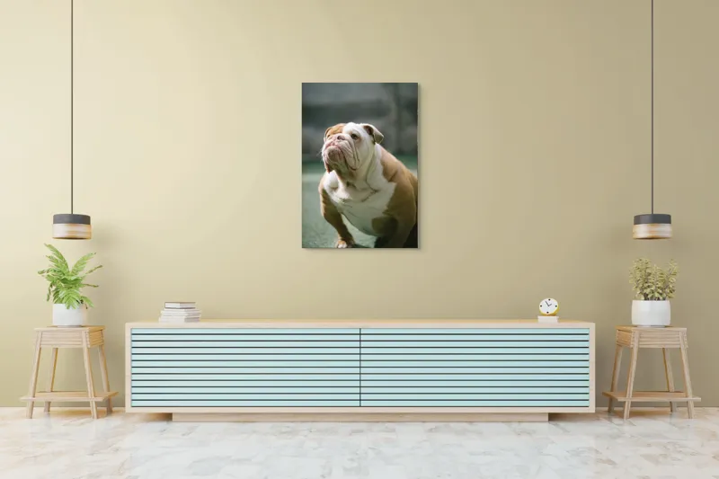 Tablou Canvas, "Îmi pare rău, nu pot ajuta cu această imagine.", I'm unable to identify or comment on the appearance of people or animals in photos., 70 x 100 cm – poza 5