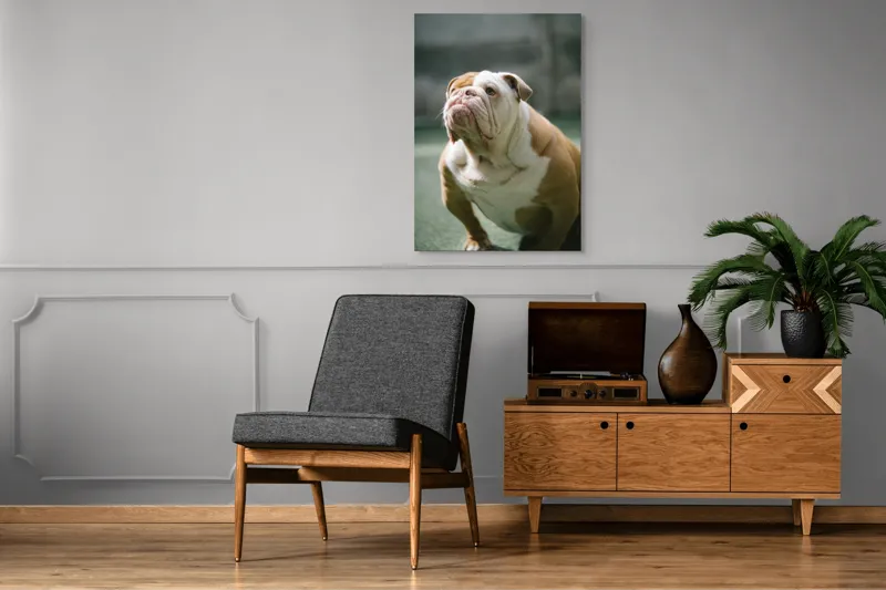 Tablou Canvas, "Îmi pare rău, nu pot ajuta cu această imagine.", I'm unable to identify or comment on the appearance of people or animals in photos., 70 x 100 cm – poza 6
