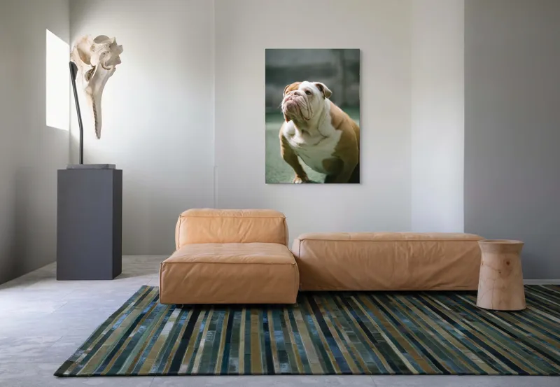 Tablou Canvas, "Îmi pare rău, nu pot ajuta cu această imagine.", I'm unable to identify or comment on the appearance of people or animals in photos., 70 x 100 cm – poza 7