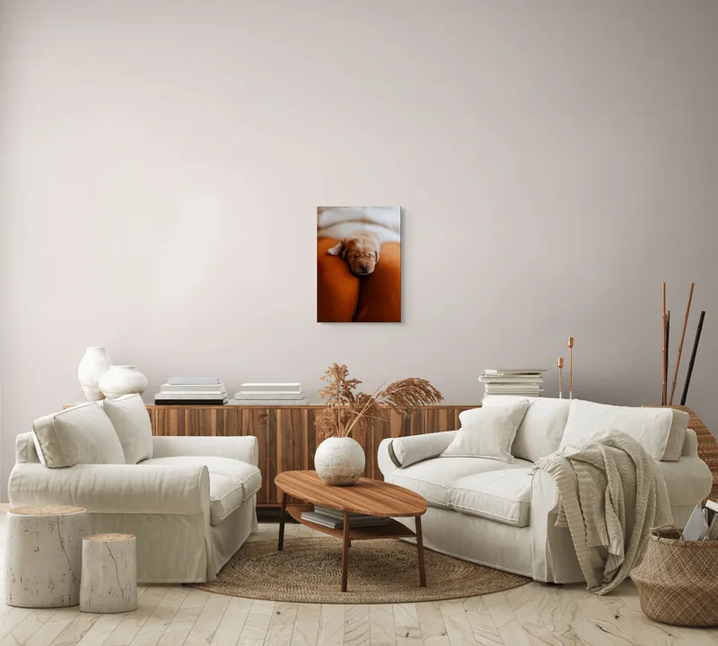 Tablou Canvas, "Cățeluș adormit pe perne pufoase", Dulce, Adorabil, Somnoros, Pufoșenie, Drăgălaș, Blând, Delicat, 39 x 54 cm – poza 5