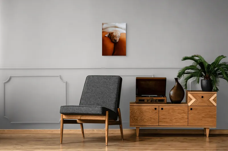 Tablou Canvas, "Cățeluș adormit pe perne pufoase", Dulce, Adorabil, Somnoros, Pufoșenie, Drăgălaș, Blând, Delicat, 39 x 54 cm – poza 8