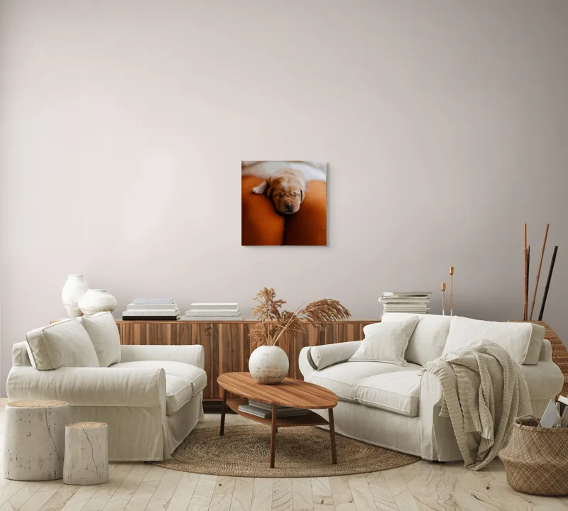 Tablou Canvas, "Cățeluș adormit pe perne pufoase", Dulce, Adorabil, Somnoros, Pufoșenie, Drăgălaș, Blând, Delicat, 50 x 50 cm – poza 7