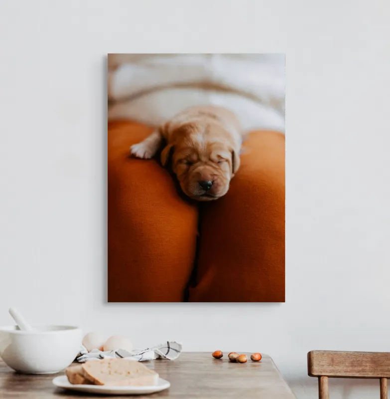 Tablou Canvas, "Cățeluș adormit pe perne pufoase", Dulce, Adorabil, Somnoros, Pufoșenie, Drăgălaș, Blând, Delicat, 50 x 70 cm – poza 3
