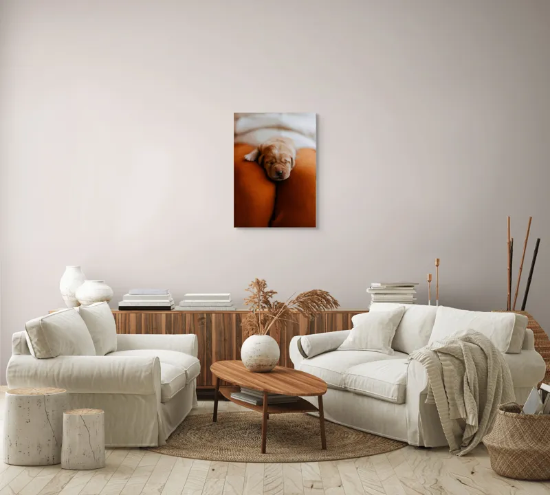 Tablou Canvas, "Cățeluș adormit pe perne pufoase", Dulce, Adorabil, Somnoros, Pufoșenie, Drăgălaș, Blând, Delicat, 50 x 70 cm – poza 4