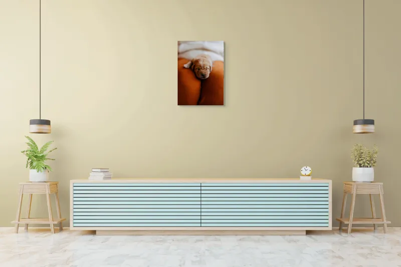 Tablou Canvas, "Cățeluș adormit pe perne pufoase", Dulce, Adorabil, Somnoros, Pufoșenie, Drăgălaș, Blând, Delicat, 50 x 70 cm – poza 6