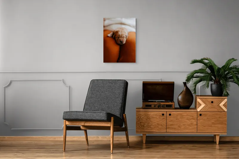 Tablou Canvas, "Cățeluș adormit pe perne pufoase", Dulce, Adorabil, Somnoros, Pufoșenie, Drăgălaș, Blând, Delicat, 50 x 70 cm – poza 8