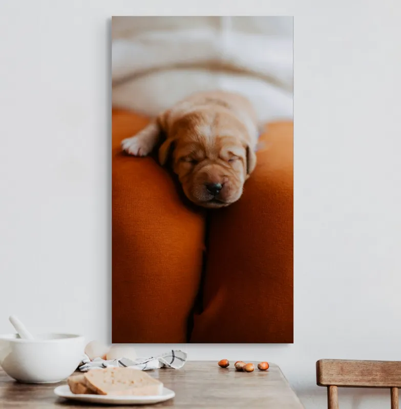 Tablou Canvas, "Cățeluș adormit pe perne pufoase", Dulce, Adorabil, Somnoros, Pufoșenie, Drăgălaș, Blând, Delicat, 50 x 90 cm – poza 3