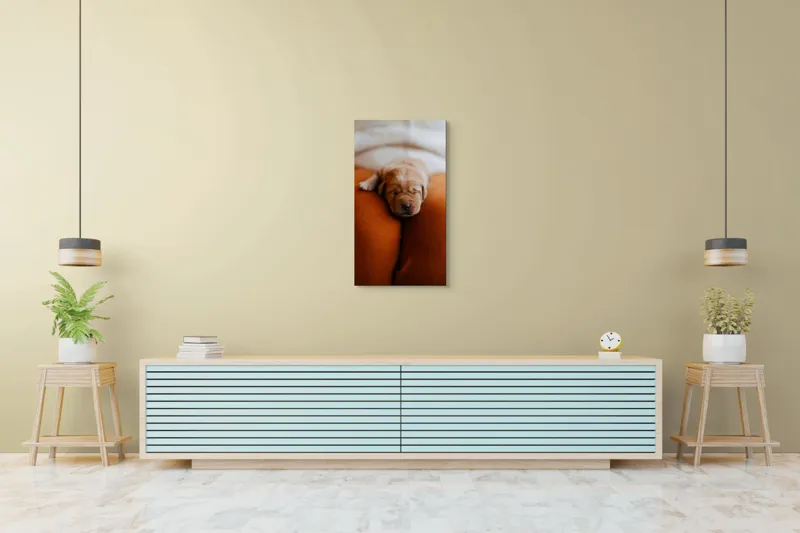 Tablou Canvas, "Cățeluș adormit pe perne pufoase", Dulce, Adorabil, Somnoros, Pufoșenie, Drăgălaș, Blând, Delicat, 50 x 90 cm – poza 6