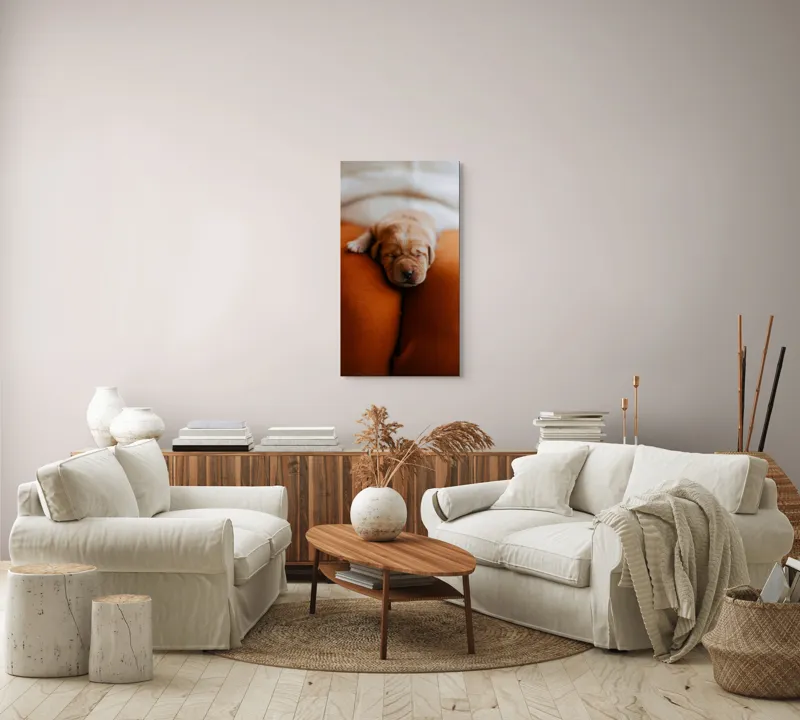 Tablou Canvas, "Cățeluș adormit pe perne pufoase", Dulce, Adorabil, Somnoros, Pufoșenie, Drăgălaș, Blând, Delicat, 50 x 90 cm – poza 7