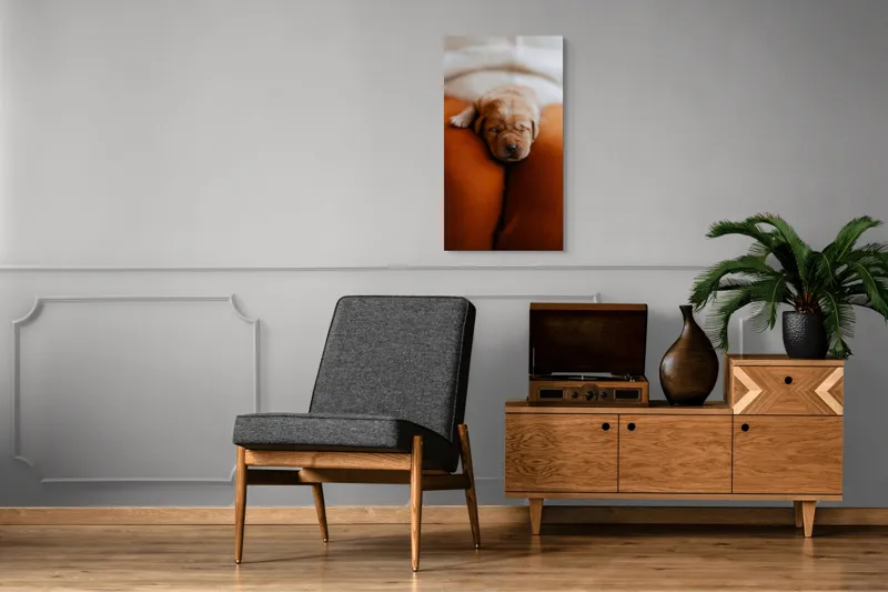 Tablou Canvas, "Cățeluș adormit pe perne pufoase", Dulce, Adorabil, Somnoros, Pufoșenie, Drăgălaș, Blând, Delicat, 50 x 90 cm – poza 8