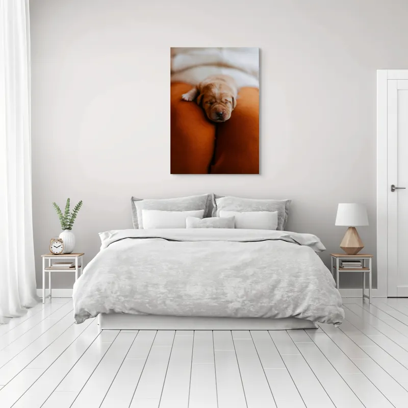 Tablou Canvas, "Cățeluș adormit pe perne pufoase", Dulce, Adorabil, Somnoros, Pufoșenie, Drăgălaș, Blând, Delicat, 70 x 100 cm – poza 3