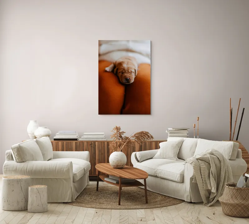 Tablou Canvas, "Cățeluș adormit pe perne pufoase", Dulce, Adorabil, Somnoros, Pufoșenie, Drăgălaș, Blând, Delicat, 70 x 100 cm – poza 4