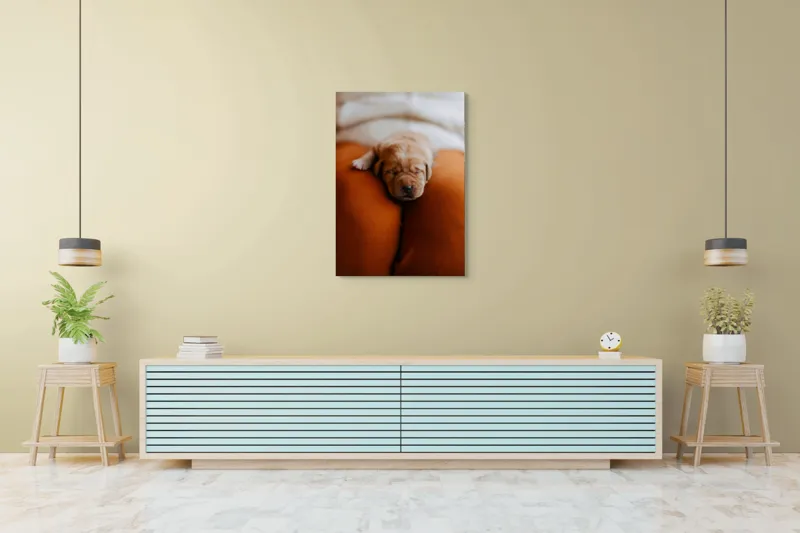 Tablou Canvas, "Cățeluș adormit pe perne pufoase", Dulce, Adorabil, Somnoros, Pufoșenie, Drăgălaș, Blând, Delicat, 70 x 100 cm – poza 5
