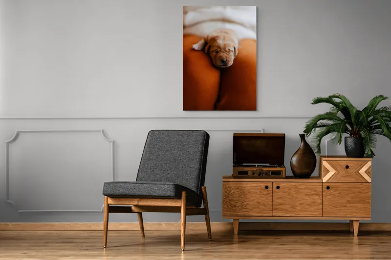 Tablou Canvas, "Cățeluș adormit pe perne pufoase", Dulce, Adorabil, Somnoros, Pufoșenie, Drăgălaș, Blând, Delicat, 70 x 100 cm – poza 6