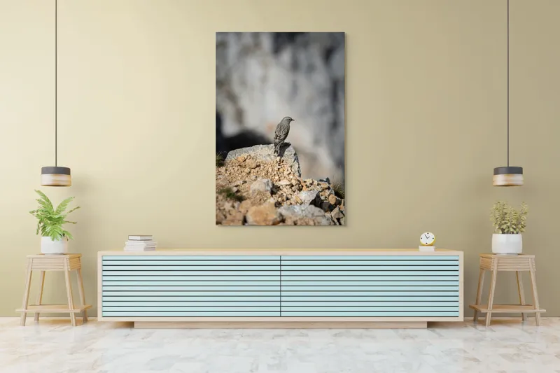 Tablou Canvas, "Pasărea solitară pe stâncă montană", Pasăre, Pene, Rochie, Piatra, Natură, Solitudine, Contrast, Fundal, Claritate, Echilibru, 100 x 150 cm – poza 4