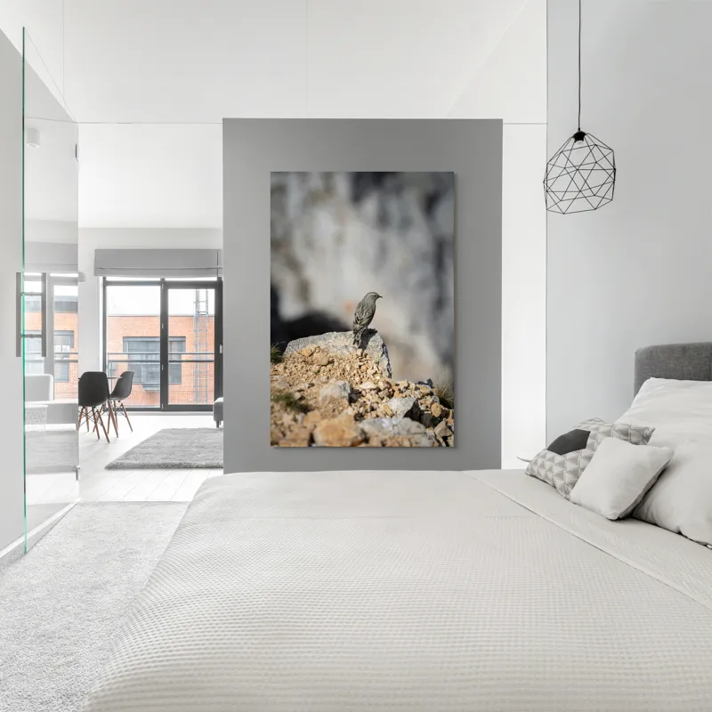 Tablou Canvas, "Pasărea solitară pe stâncă montană", Pasăre, Pene, Rochie, Piatra, Natură, Solitudine, Contrast, Fundal, Claritate, Echilibru, 100 x 150 cm – poza 5