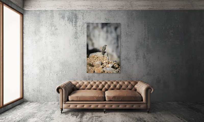 Tablou Canvas, "Pasărea solitară pe stâncă montană", Pasăre, Pene, Rochie, Piatra, Natură, Solitudine, Contrast, Fundal, Claritate, Echilibru, 100 x 150 cm – poza 6