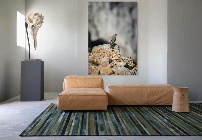 Tablou Canvas, "Pasărea solitară pe stâncă montană", Pasăre, Pene, Rochie, Piatra, Natură, Solitudine, Contrast, Fundal, Claritate, Echilibru, 100 x 150 cm – poza 7
