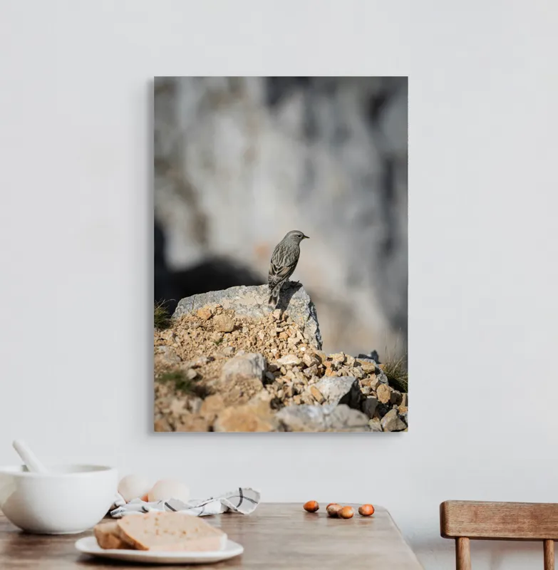 Tablou Canvas, "Pasărea solitară pe stâncă montană", Pasăre, Pene, Rochie, Piatra, Natură, Solitudine, Contrast, Fundal, Claritate, Echilibru, 50 x 70 cm – poza 3