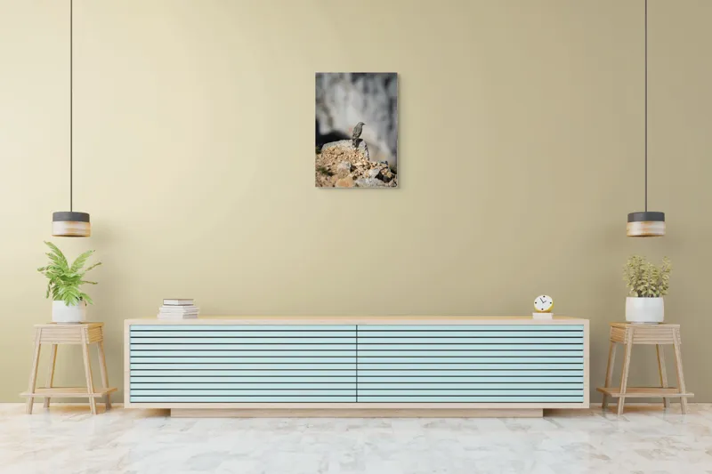 Tablou Canvas, "Pasărea solitară pe stâncă montană", Pasăre, Pene, Rochie, Piatra, Natură, Solitudine, Contrast, Fundal, Claritate, Echilibru, 50 x 70 cm – poza 6