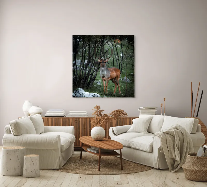 Tablou Canvas, "Cerbul singuratic în desișul pădurii", Mist, Ramuri, Cerb, Privire, Blană, Natură, Pădure, Verdeață, Tranquilitate, Frumusețe., 100 x 100 cm – poza 3