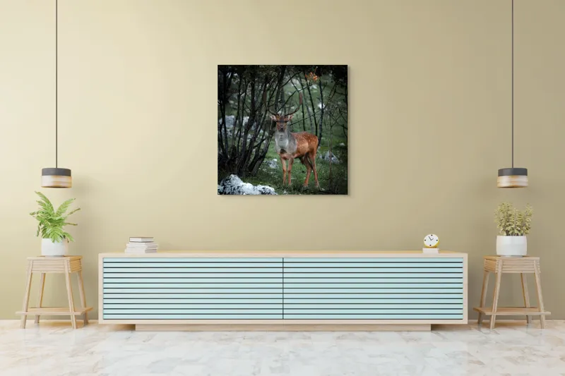 Tablou Canvas, "Cerbul singuratic în desișul pădurii", Mist, Ramuri, Cerb, Privire, Blană, Natură, Pădure, Verdeață, Tranquilitate, Frumusețe., 100 x 100 cm – poza 5