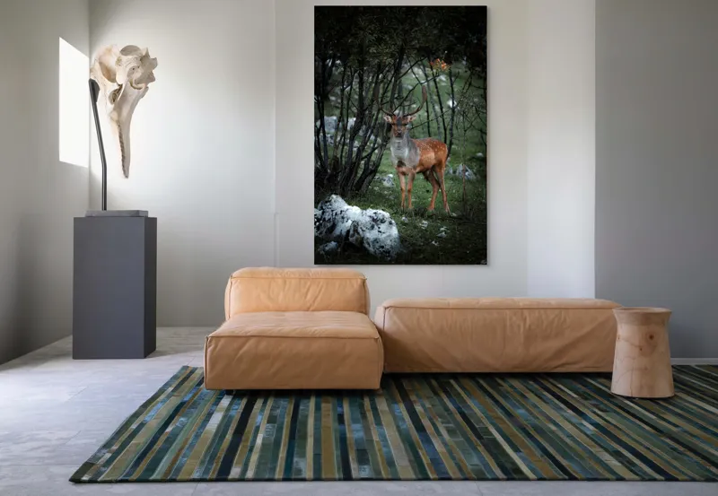 Tablou Canvas, "Cerbul singuratic în desișul pădurii", Mist, Ramuri, Cerb, Privire, Blană, Natură, Pădure, Verdeață, Tranquilitate, Frumusețe., 100 x 150 cm – poza 7