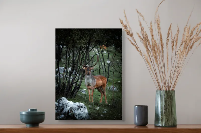 Tablou Canvas, "Cerbul singuratic în desișul pădurii", Mist, Ramuri, Cerb, Privire, Blană, Natură, Pădure, Verdeață, Tranquilitate, Frumusețe., 39 x 54 cm – poza 3