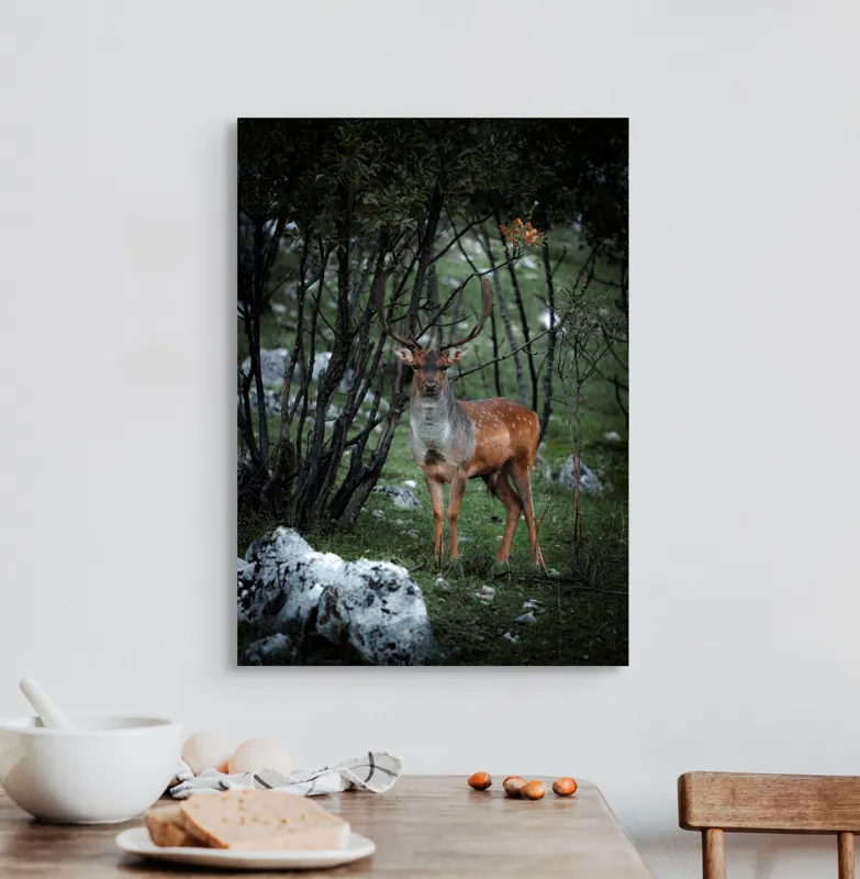 Tablou Canvas, "Cerbul singuratic în desișul pădurii", Mist, Ramuri, Cerb, Privire, Blană, Natură, Pădure, Verdeață, Tranquilitate, Frumusețe., 50 x 70 cm – poza 3