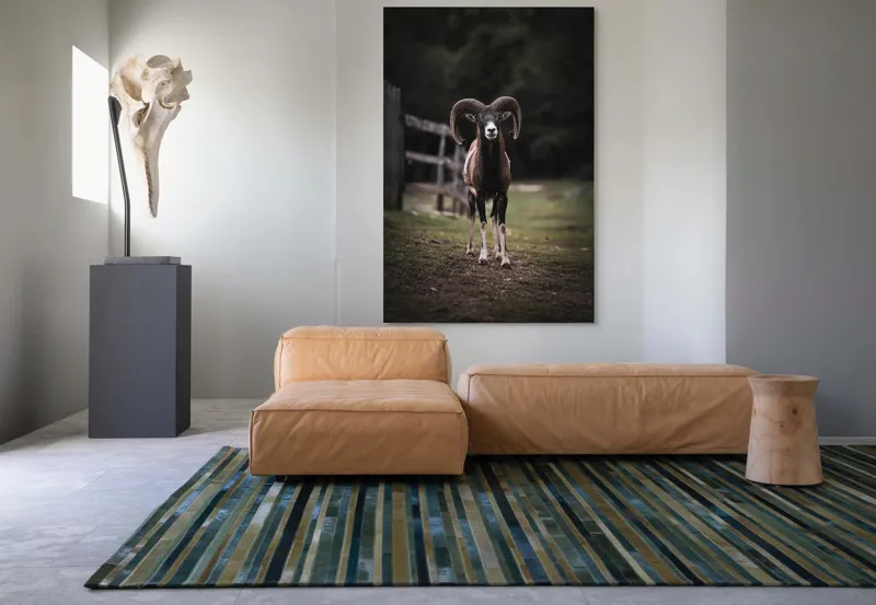 Tablou Canvas, "Berbecul în pădurea solitară misterioasă", I don't know who this is., 100 x 150 cm – poza 7