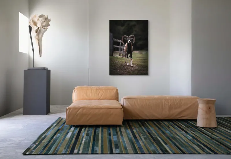 Tablou Canvas, "Berbecul în pădurea solitară misterioasă", I don't know who this is., 70 x 100 cm – poza 7