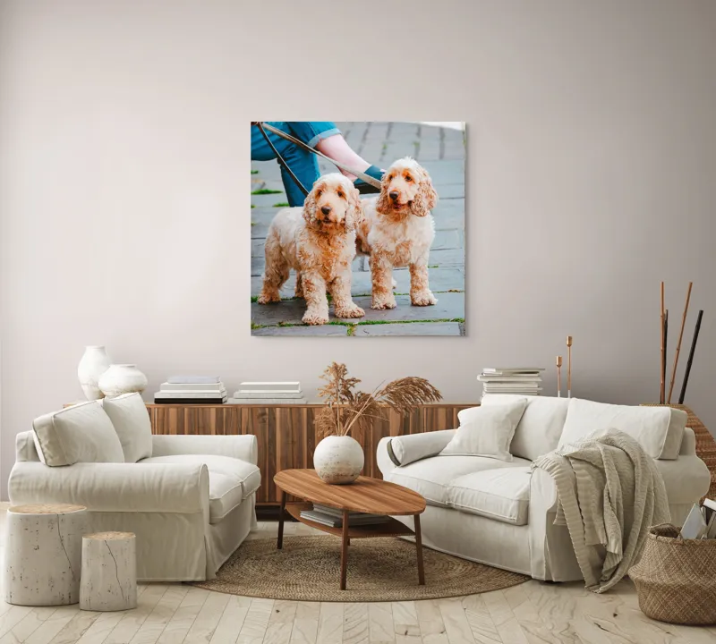 Tablou Canvas, "Doi câini plimbați pe trotuar", Câini, Lesă, Blană, Urechi, Trotoar, Haine, Usă, Verde, Trotinetă, 100 x 100 cm – poza 3