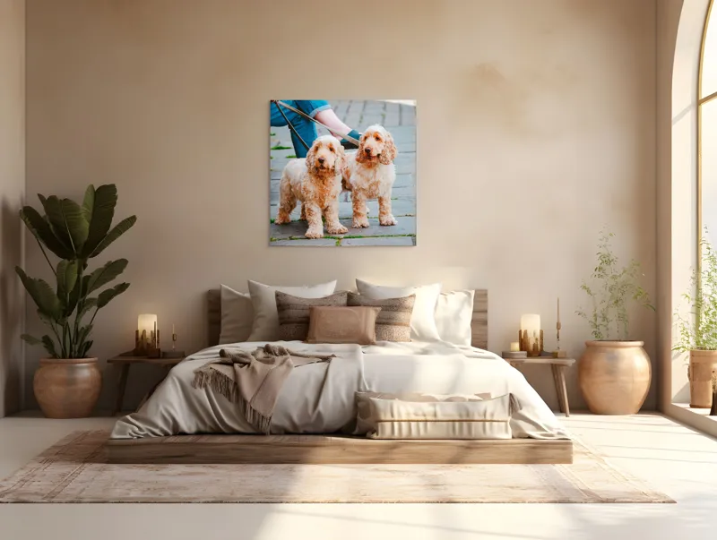 Tablou Canvas, "Doi câini plimbați pe trotuar", Câini, Lesă, Blană, Urechi, Trotoar, Haine, Usă, Verde, Trotinetă, 100 x 100 cm – poza 4