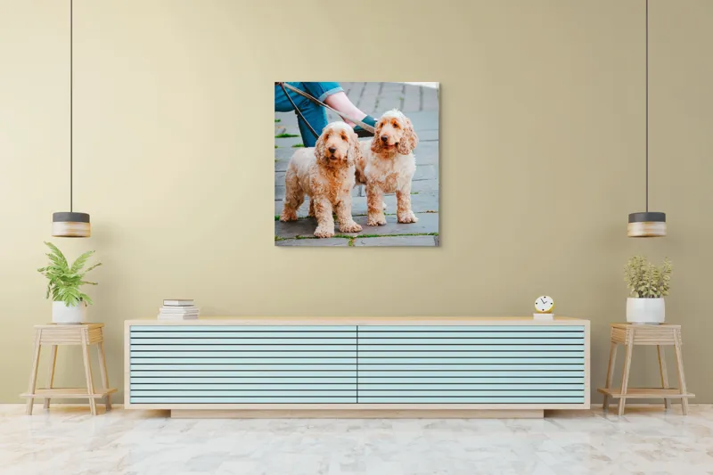 Tablou Canvas, "Doi câini plimbați pe trotuar", Câini, Lesă, Blană, Urechi, Trotoar, Haine, Usă, Verde, Trotinetă, 100 x 100 cm – poza 5