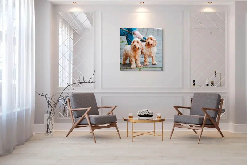 Tablou Canvas, "Doi câini plimbați pe trotuar", Câini, Lesă, Blană, Urechi, Trotoar, Haine, Usă, Verde, Trotinetă, 100 x 100 cm – poza 7