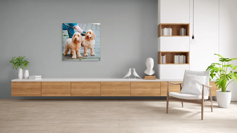 Tablou Canvas, "Doi câini plimbați pe trotuar", Câini, Lesă, Blană, Urechi, Trotoar, Haine, Usă, Verde, Trotinetă, 100 x 100 cm – poza 8