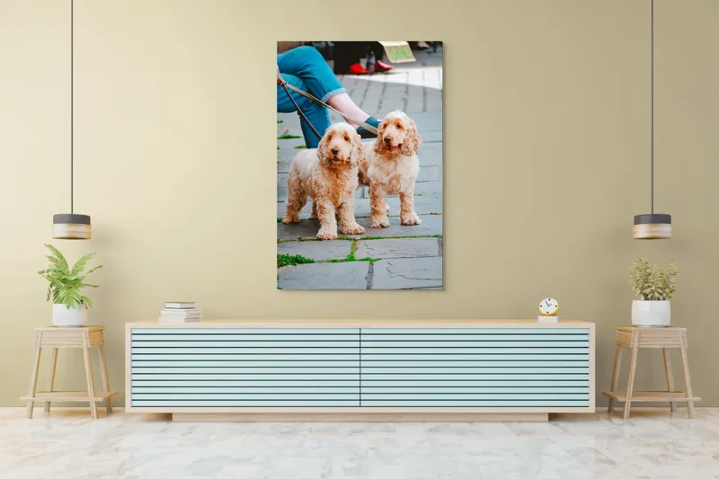 Tablou Canvas, "Doi câini plimbați pe trotuar", Câini, Lesă, Blană, Urechi, Trotoar, Haine, Usă, Verde, Trotinetă, 100 x 150 cm – poza 4
