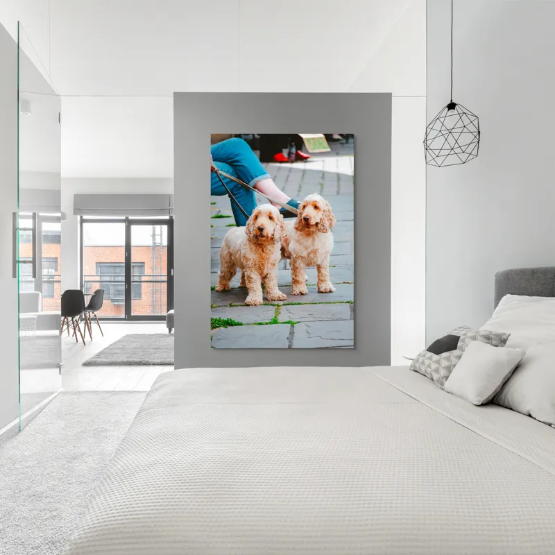 Tablou Canvas, "Doi câini plimbați pe trotuar", Câini, Lesă, Blană, Urechi, Trotoar, Haine, Usă, Verde, Trotinetă, 100 x 150 cm – poza 5