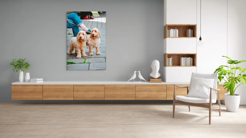 Tablou Canvas, "Doi câini plimbați pe trotuar", Câini, Lesă, Blană, Urechi, Trotoar, Haine, Usă, Verde, Trotinetă, 100 x 150 cm – poza 8