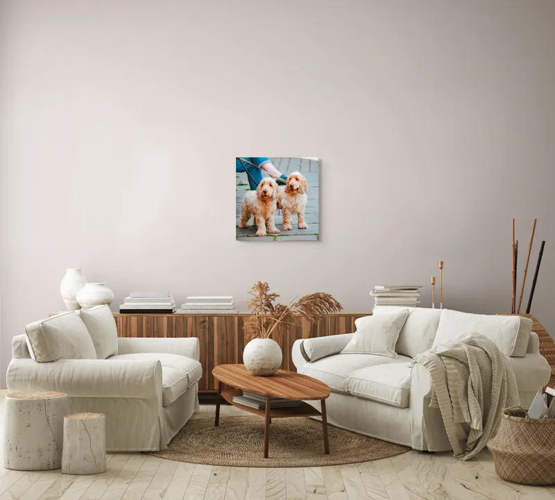 Tablou Canvas, "Doi câini plimbați pe trotuar", Câini, Lesă, Blană, Urechi, Trotoar, Haine, Usă, Verde, Trotinetă, 50 x 50 cm – poza 7