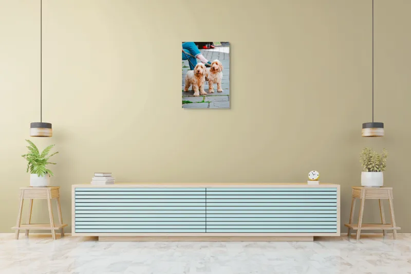 Tablou Canvas, "Doi câini plimbați pe trotuar", Câini, Lesă, Blană, Urechi, Trotoar, Haine, Usă, Verde, Trotinetă, 50 x 70 cm – poza 6
