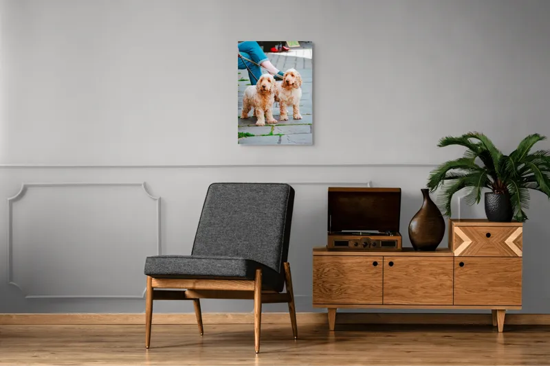 Tablou Canvas, "Doi câini plimbați pe trotuar", Câini, Lesă, Blană, Urechi, Trotoar, Haine, Usă, Verde, Trotinetă, 50 x 70 cm – poza 8
