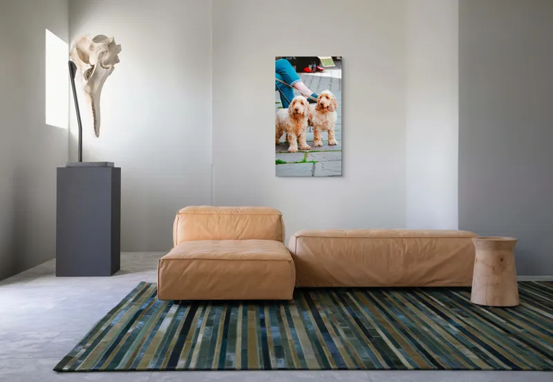 Tablou Canvas, "Doi câini plimbați pe trotuar", Câini, Lesă, Blană, Urechi, Trotoar, Haine, Usă, Verde, Trotinetă, 50 x 90 cm – poza 5