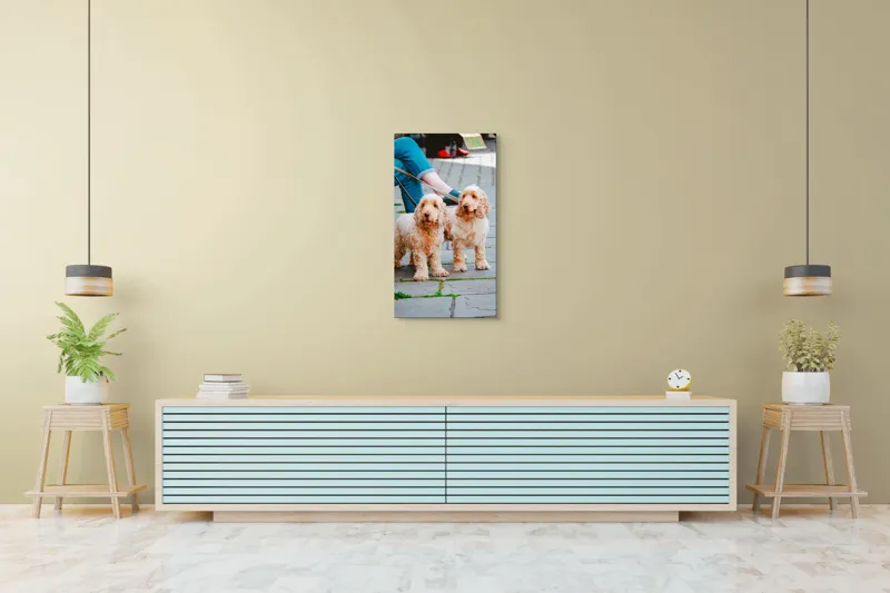 Tablou Canvas, "Doi câini plimbați pe trotuar", Câini, Lesă, Blană, Urechi, Trotoar, Haine, Usă, Verde, Trotinetă, 50 x 90 cm – poza 6