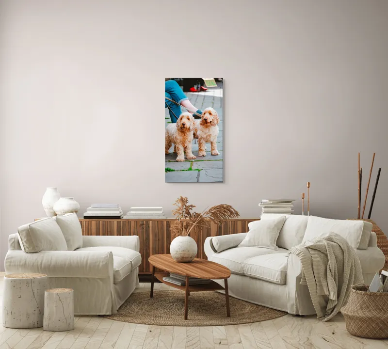 Tablou Canvas, "Doi câini plimbați pe trotuar", Câini, Lesă, Blană, Urechi, Trotoar, Haine, Usă, Verde, Trotinetă, 50 x 90 cm – poza 7