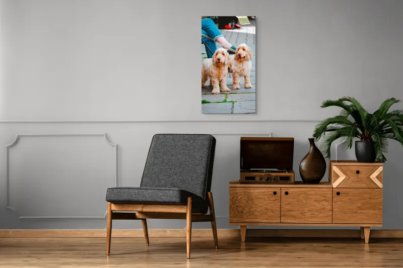 Tablou Canvas, "Doi câini plimbați pe trotuar", Câini, Lesă, Blană, Urechi, Trotoar, Haine, Usă, Verde, Trotinetă, 50 x 90 cm – poza 8